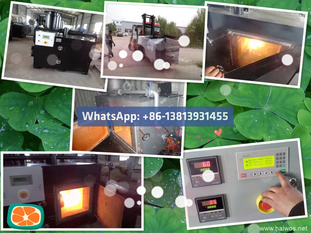 Model TS30 oil fired waste Little incinerator 30kgs